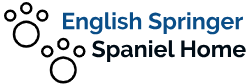 English Springer Spaniel Home